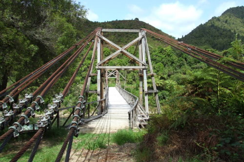 Tauranga Bridge Loop Track